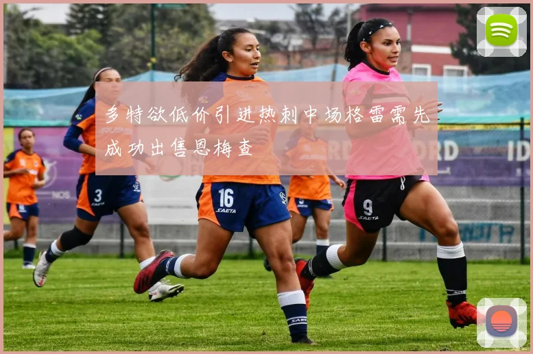 多特欲低价引进热刺中场格雷需先成功出售恩梅查