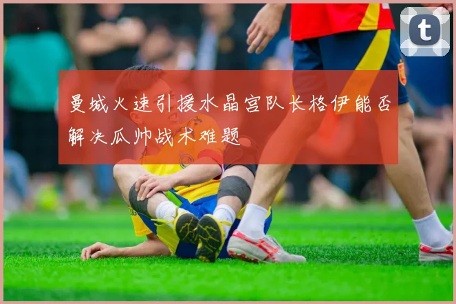 曼城火速引援水晶宫队长格伊能否解决瓜帅战术难题